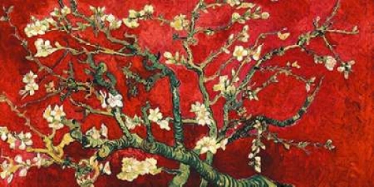Mandorlo in fiore Poster Print by Vincent Van Gogh - Item # VARPDX2VG3105